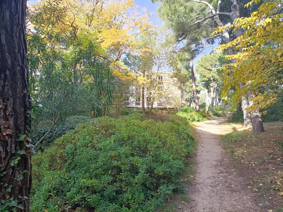 Vue Mer Et Montagne Dans Parc Du Roy D'Espagne, Up To 7 People Marseille Exterior photo